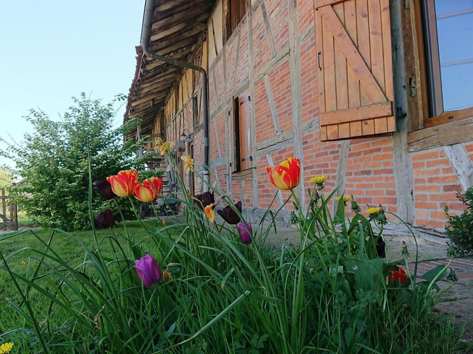 A La Poularde B&B Curciat-Dongalon Exteriör bild