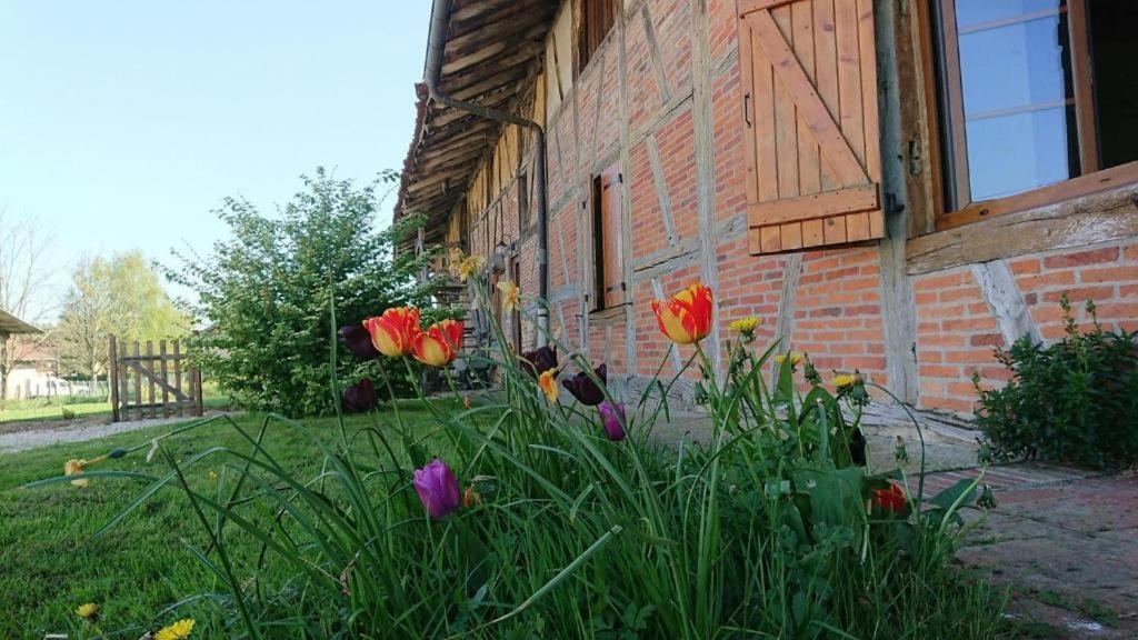 A La Poularde B&B Curciat-Dongalon Rum bild